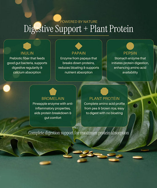 RevaSure - The Experience Kit I Bloat-Free Plant Protein 10 Sachets.